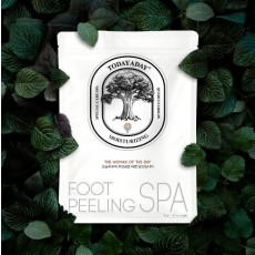 투데이어데이 쿼커스 풋필링스파